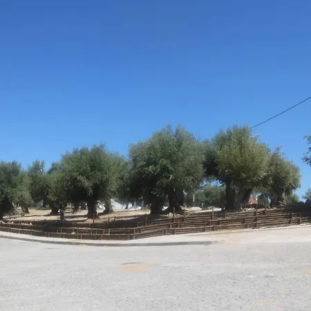 Casa Da Rosa Linda *